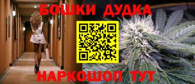 МДПВ Новодвинск