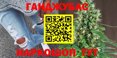 МДПВ Новодвинск