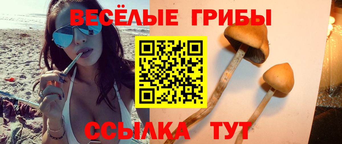 Сухой Лог  Галлюциногенные грибы мицелий  Вход с VPN 
