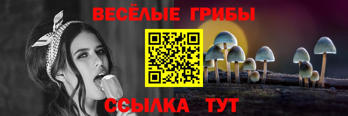 Псилоцибиновые грибы мухоморы Сухой Лог